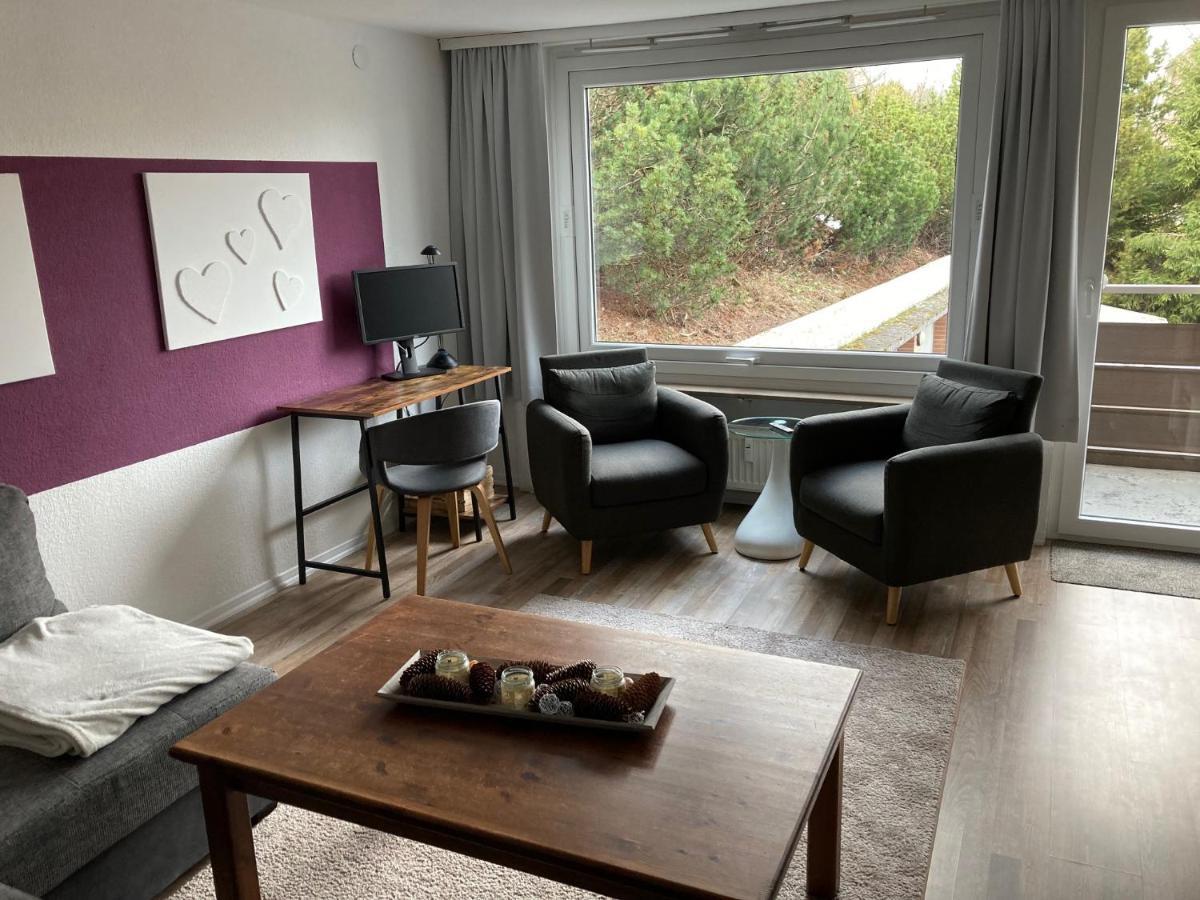 Apartment Moderne, Ruhige In Harz Inkl Wlan&netflix