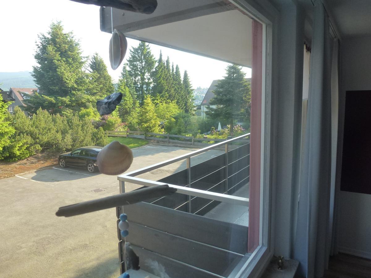 Apartment Moderne, Ruhige In Harz Inkl Wlan&netflix Braunlage