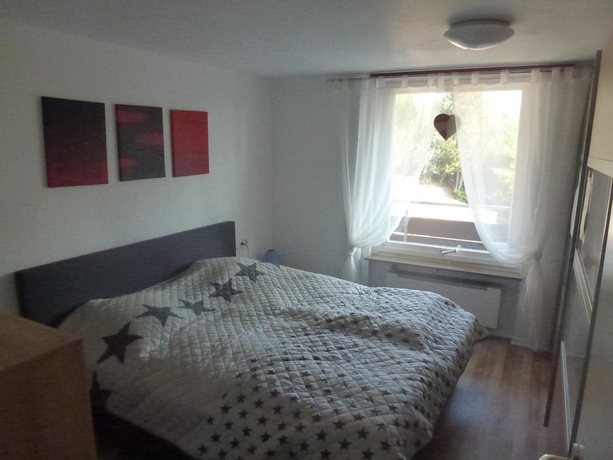 Apartment Moderne, Ruhige In Harz Inkl Wlan&netflix